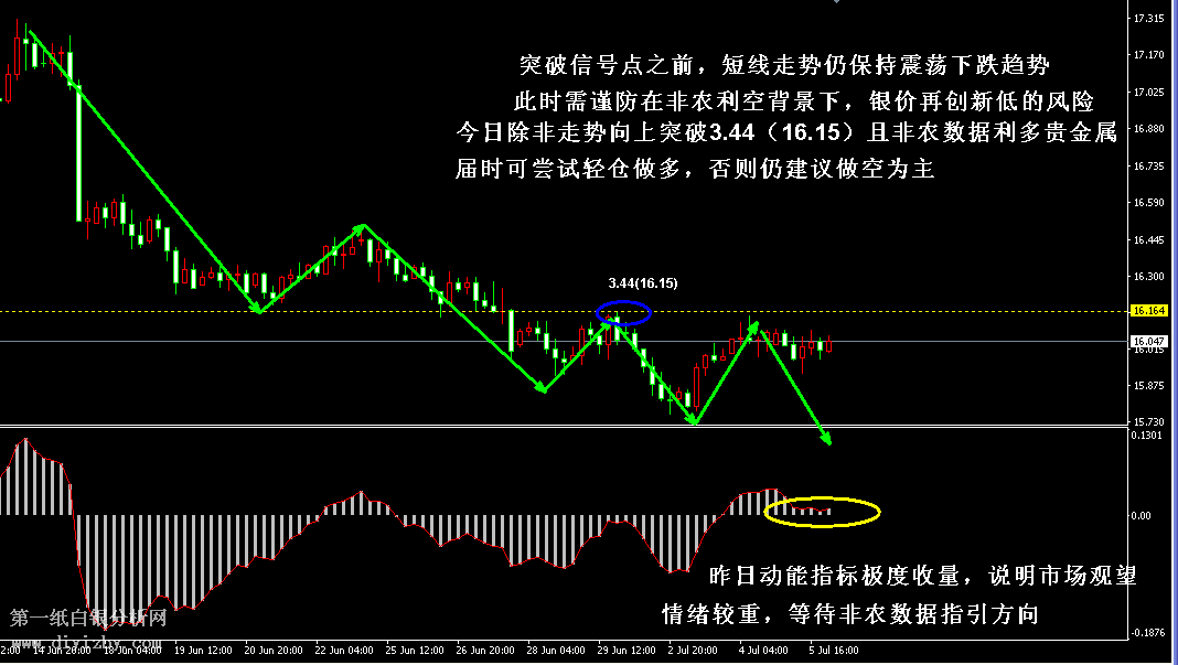第一白銀網最新動態揭秘,小巷深處的白銀秘境