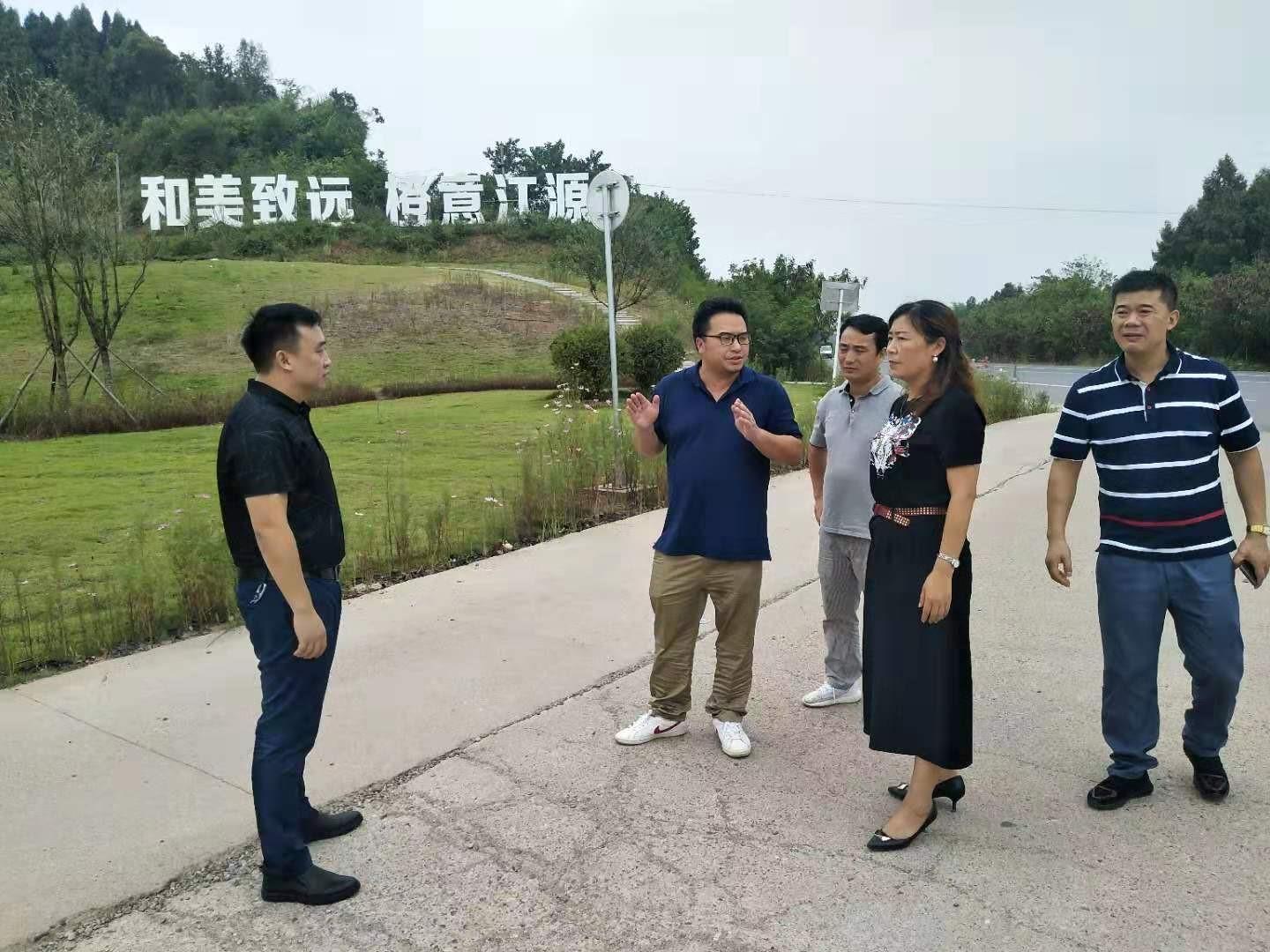 簡陽市江源鎮未來藍圖展望,最新規劃與未來發展