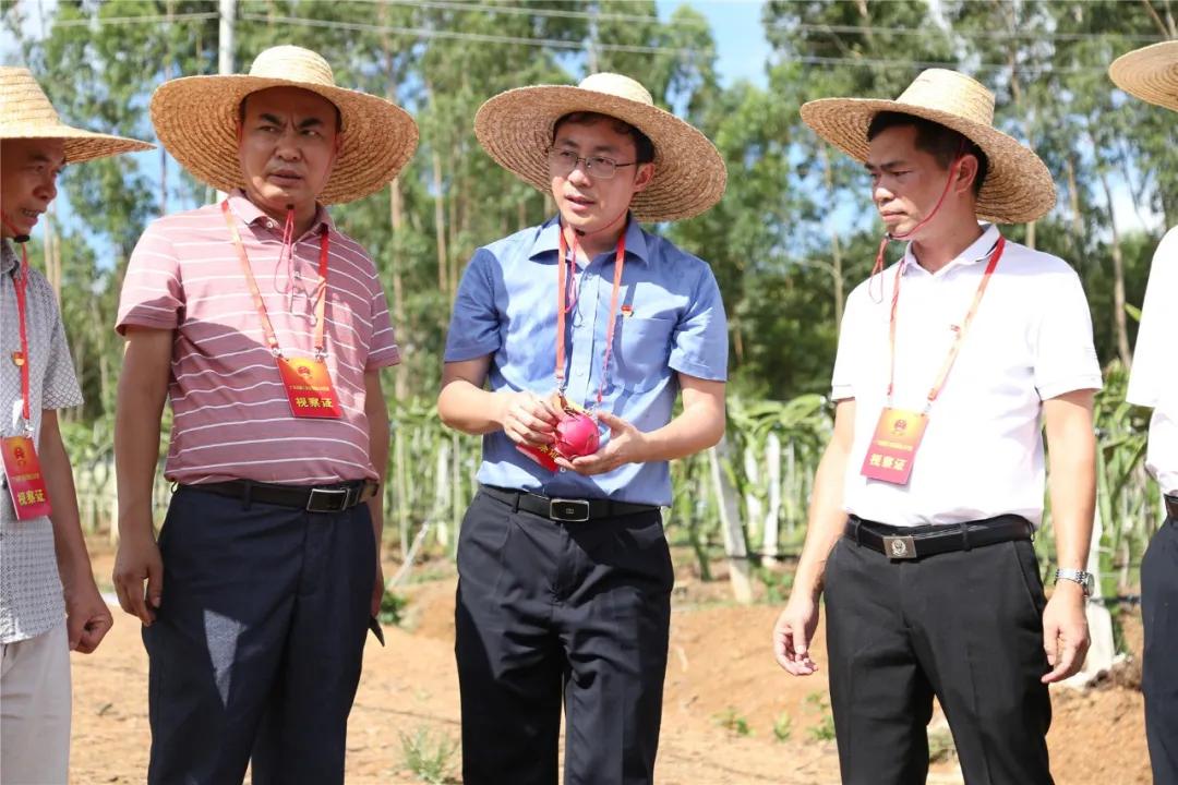 廉江市新任市委書記,引領城市發展的核心力量