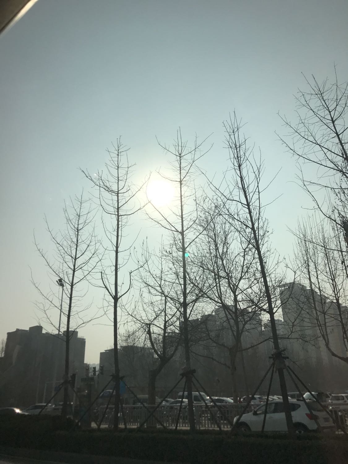 二七區(qū)最新天氣預(yù)報更新通知