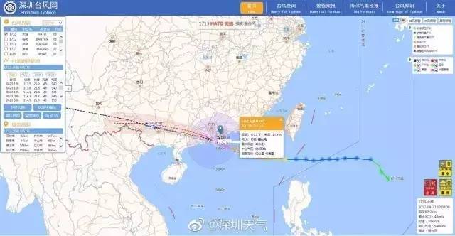 臺風(fēng)天鴿來襲,深圳家中的溫馨日常趣事與最新應(yīng)對消息