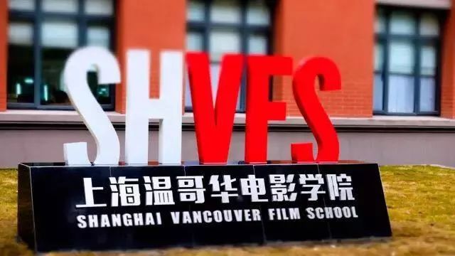 魯泰集團最新招聘啟事,職位空缺與職業發展機會