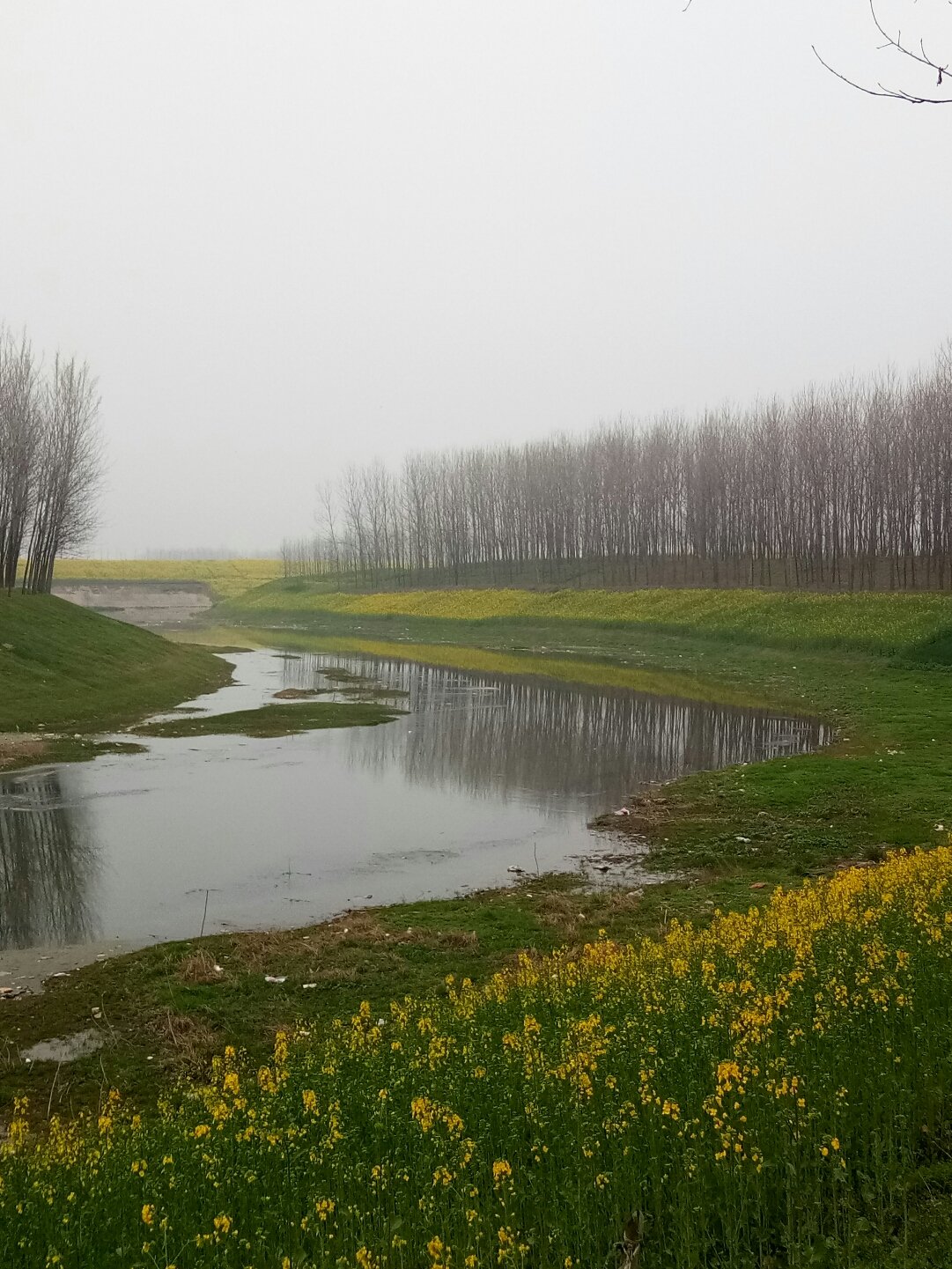 平輿縣天氣預報更新,陽光與氣象變化帶來自信與力量