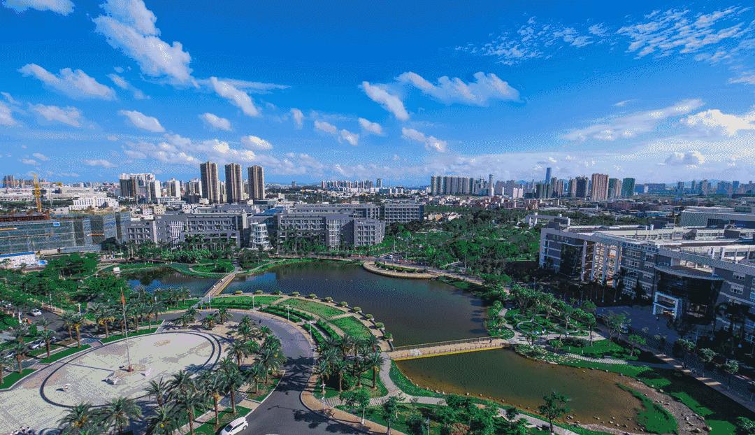 臺風苗柏最新動態,風暴中的力量與影響視頻報道