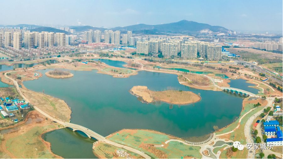 ??仙林湖公園最新動態更新??