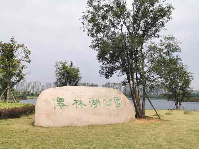 ??仙林湖公園最新動態更新??