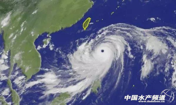 華南海域最新天氣預報更新