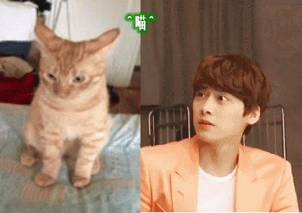 李喵喵5月19日新旅程,探索自然美景,尋覓內(nèi)心平和之旅