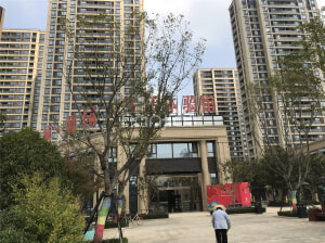 蕭縣綠城樓盤最新動態，市場深度解析與個人觀點