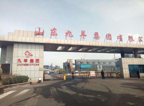 山東九羊公司蓬勃發(fā)展，引領(lǐng)行業(yè)新潮流，最新消息揭秘發(fā)展動(dòng)態(tài)