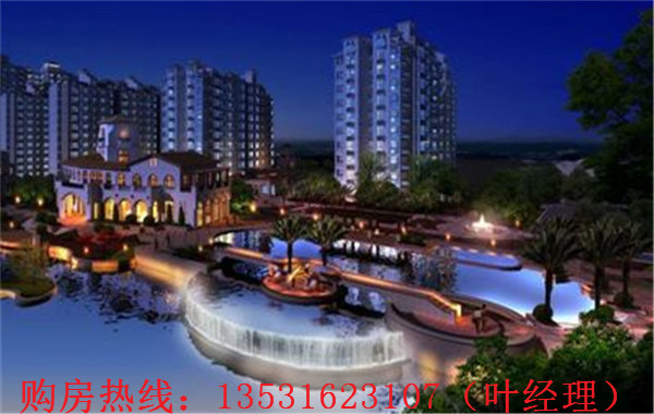 大亞灣羅建強最新消息,深度解析各方觀點與個人立場闡述